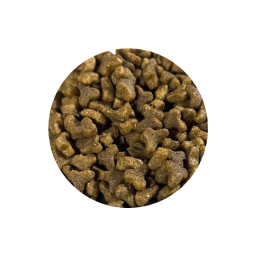 غذای خشک بچه گربه شهر پت مدل Reflex Plus Kitten وزن 1 کیلوگرم