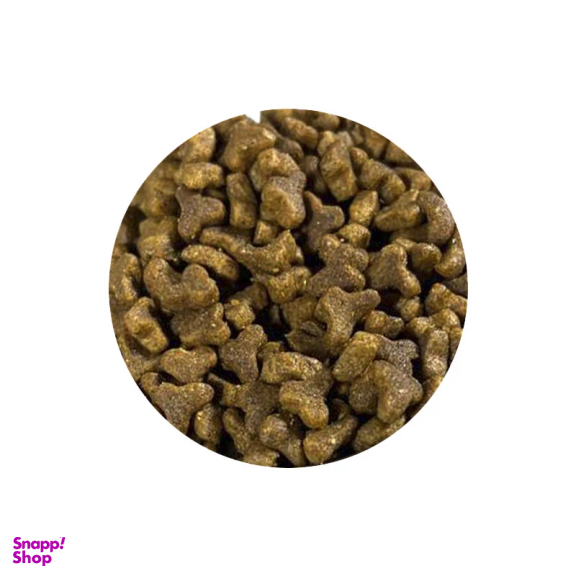 غذای خشک بچه گربه شهر پت مدل Reflex Plus Kitten وزن 1 کیلوگرم