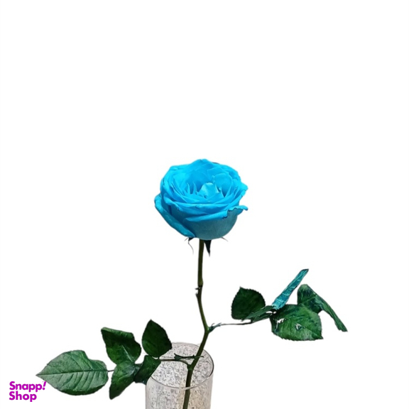 شاخه گل طبیعی گلی کد 20088