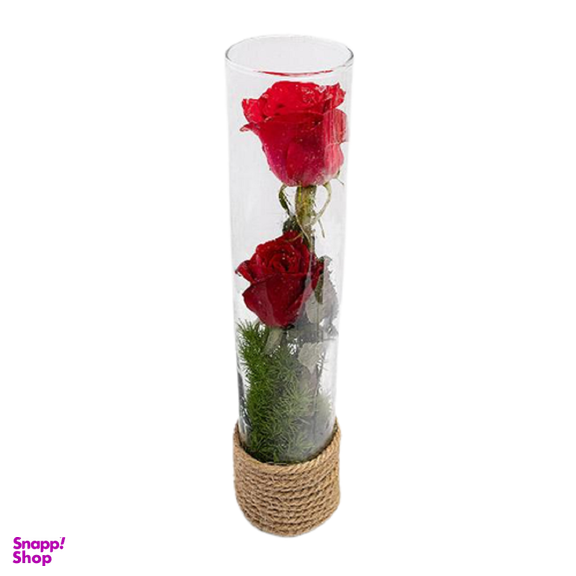 گل رز دو شاخه شیشه ای تعداد 1 عدد