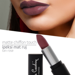 رژ لب جامد پیر کاردین کد 11190