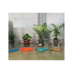 آکواریوم مدل گلدان مجموعه دو عددی