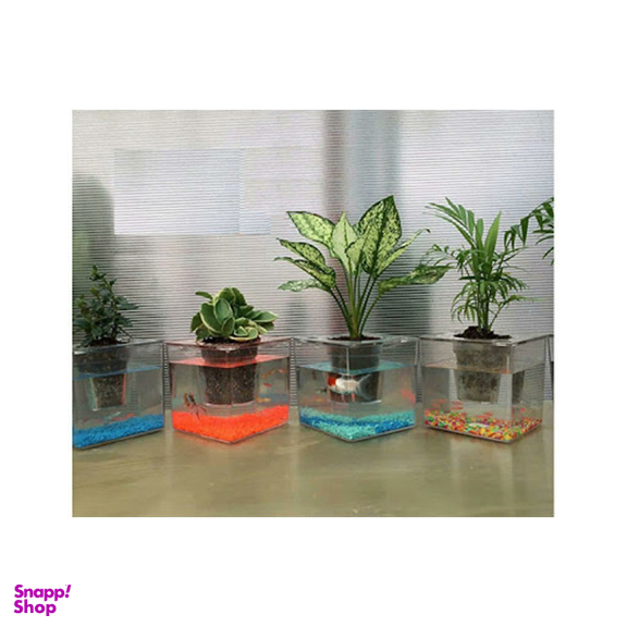 آکواریوم مدل گلدان مجموعه دو عددی
