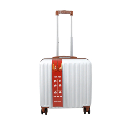 چمدان خلبانی هوسونی مدل 035