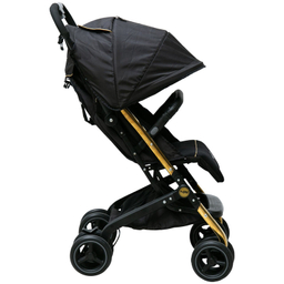 کالسکه دلیجان مدل مینی پرو بدنه نقره ای