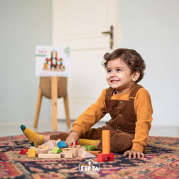 بازی فکری سپتا مدل بریکس دوز