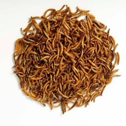 غذای خشک حیوانات مدل میلورم کد 08 وزن 400 گرم