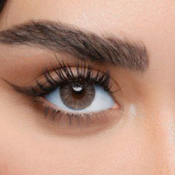 لنز رنگی هرا کد 16 رنگ خاکی تیره