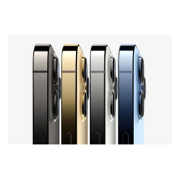 گوشی موبایل اپل مدل iPhone 13 Pro Max A2644 دو سیم‌ کارت ظرفیت 1 ترابایت رم 6 گیگابایت