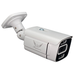 دوربین مداربسته تحت شبکه رایمون مدل 5 مگاپیکسل Network Surveillance 8302