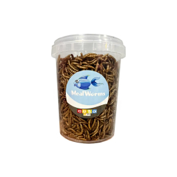 غذای ماهی میل ورم شهرپت مدل Mealworms وزن 100 گرم