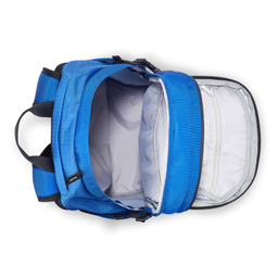 کوله پشتی ورزشی دلسی مدل NOMADE کد 3335611