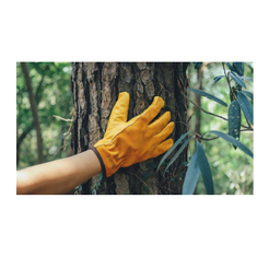 دستکش چرمی کار در طبيعت تابستانه فایرمپل مدل Gingko Summer