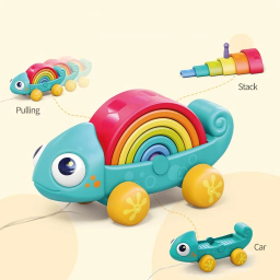 مونته سوری هولا طرح آفتاب پرست