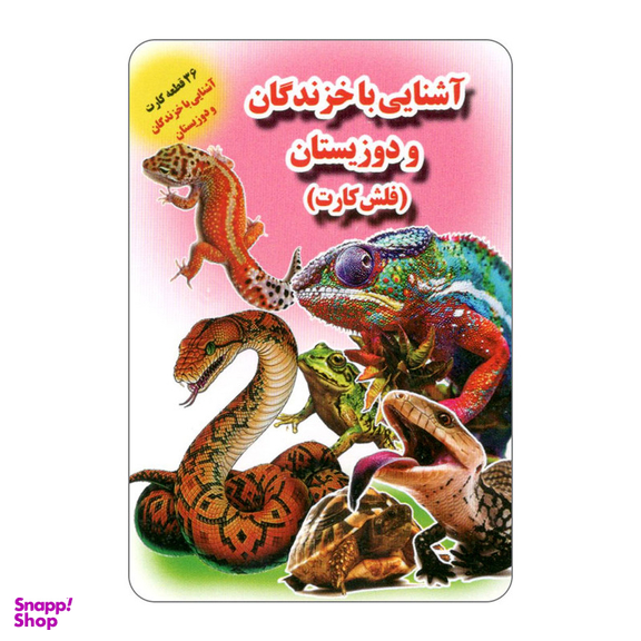 فلش کارت آشنایی با خزندگان و دوزیستان انتشارات جواهری