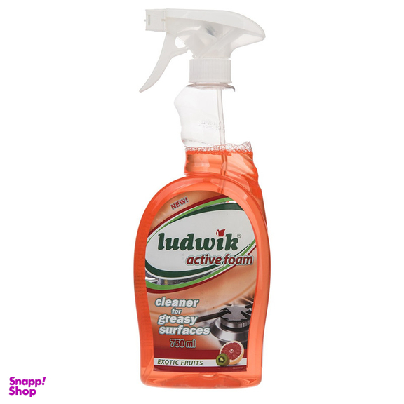 اسپری پاک کننده چربی سطوح لودویک مدل Fruits Active Foam حجم 750 میلی لیتر