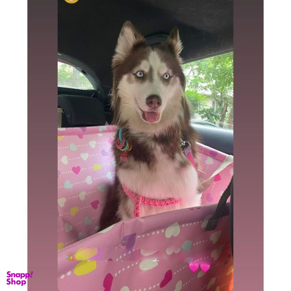 زیر انداز حیوانات بابل کارپت مدل 03_1710 مناسب برای خودرو