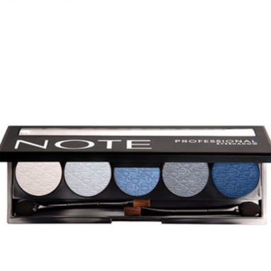 پالت سایه چشم نوت مدل Professional Palette شماره 101