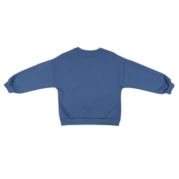 سویشرت پسرانه فیورلا مدل جئوگرافیک 45541