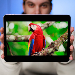 تبلت 11 اینچ اپل مدل iPad Air 11 2025 M3 WiFi ظرفیت 256 گیگابایت و رم 8 گیگابایت
