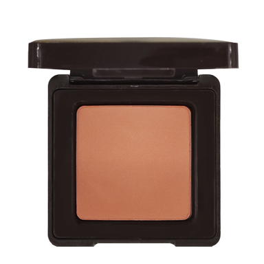 رژ گونه آر تی اس مدل Blusher رنگ S05