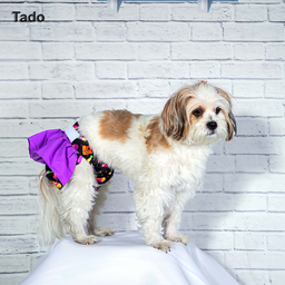 پوشک سگ تادو طرح ماده دامنی کد 1126 سایز S