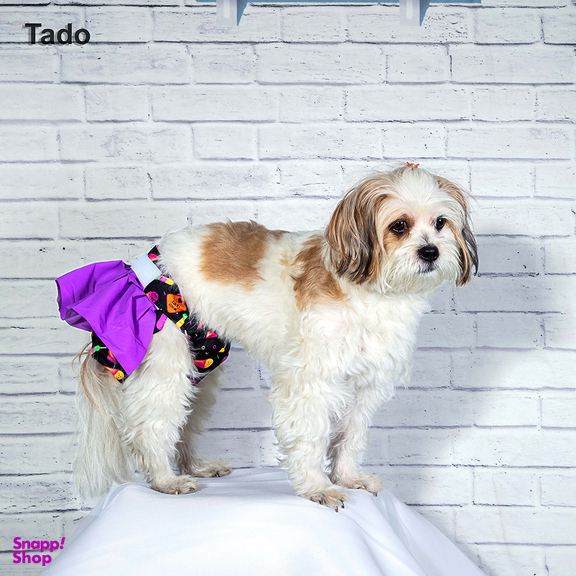 پوشک سگ تادو طرح ماده دامنی کد 1126 سایز S