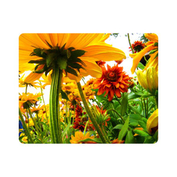 ماوس پد اطلس آبی طرح گل آفتابگردان مدل T7252