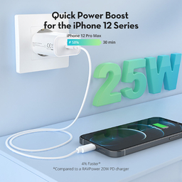 شارژر دیواری 25 وات راو پاور مدل RP-PC156