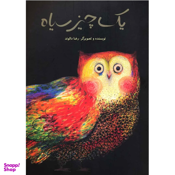 کتاب یک چیز سیاه اثر رضا دالوند انتشارات فاطمی