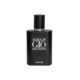 ادوپرفیوم جیبی مردانه برندینی مدل Acqua Di Gio Profumo حجم 33 میلی لیتر