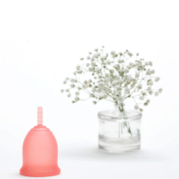 کاپ قاعدگی لیوا فارما مدل Plus سایز کوچک و متوسط مجموعه 2 عددی
