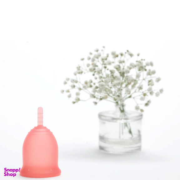 کاپ قاعدگی لیوا فارما مدل Plus سایز کوچک و متوسط مجموعه 2 عددی
