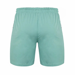 مایو شنا مردانه طرح نایک کد 41 رنگ سبز