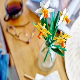 ساختنی لگو سری Daffodils مدل Narzissen کد 40747