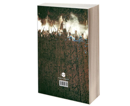 کتاب کوفه از پیدایش تا عاشورا اثر نعمت الله صفری فروشانی نشر مشعر