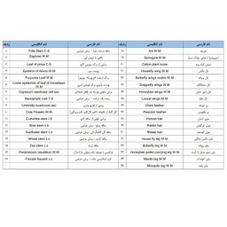 نمونه‌ آماده میکروسکوپ مدل برسر مجموعه 35 عددی