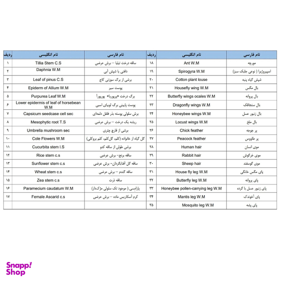 نمونه‌ آماده میکروسکوپ مدل برسر مجموعه 35 عددی