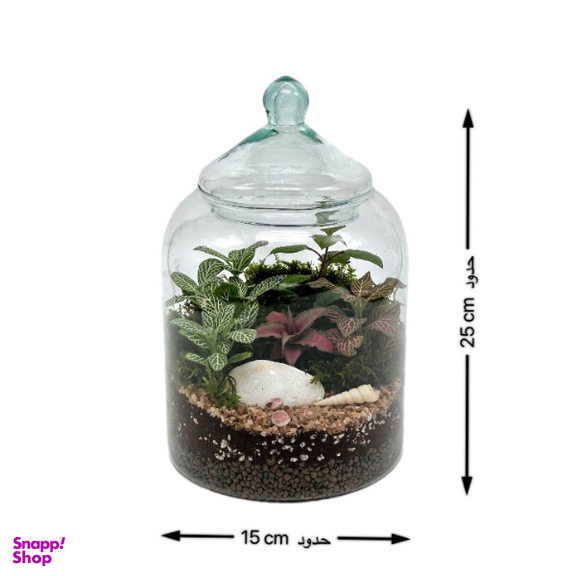تراریوم مدل کپسولی سایز کوچک