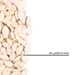 تخمه کدو گوشتی خام بارجیل