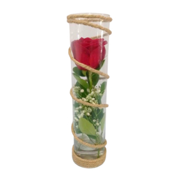 گل رز طبیعی کد 04