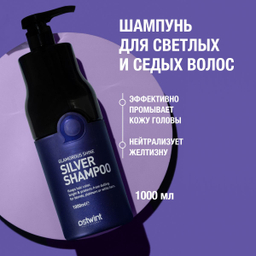 شامپو مو  است وینت مدل گلاموروس شاین سیلور حجم 1000 میلی لیتر