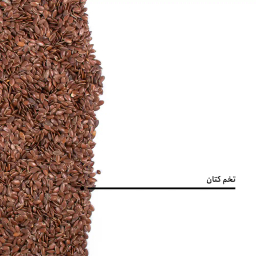 تخم کتان بارجیل