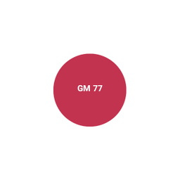 رژ لب مایع اشتون کد GM 77