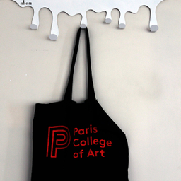 رخت آویز پشت دری آبان مدل چکه