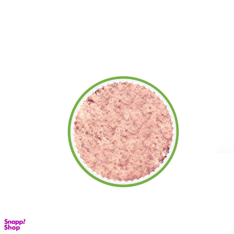 کنسرو سگ بالغ نوتری پت مدل پته طعم مرغ کد 21279 وزن 425 گرم