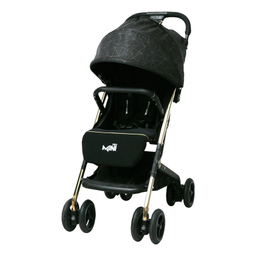 کالسکه مسافرتی دلیجان مدل مینی پرو طرح کهکشانی