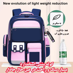 کوله پشتی مدرسه مدل چهار دکمه کد PINA