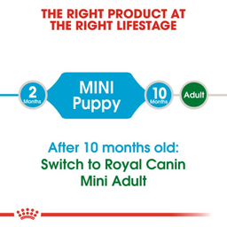 غذا خشک سگ رویال کنین مدل Mini Puppy وزن 2 کیلوگرم