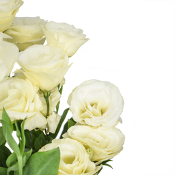 دسته گل لیسیانتوس نباتی هیمان کد 1064